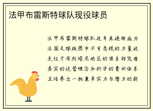 法甲布雷斯特球队现役球员